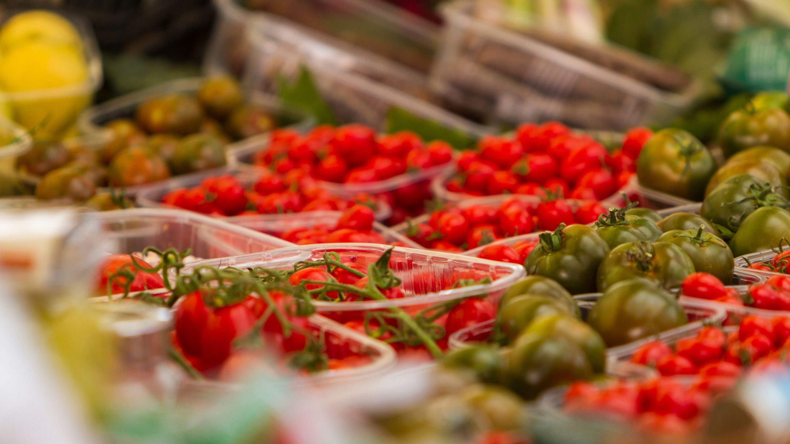 Alt Blog-Quarta-Hospitality-in-Rome-Hotel-Oxford-Roma