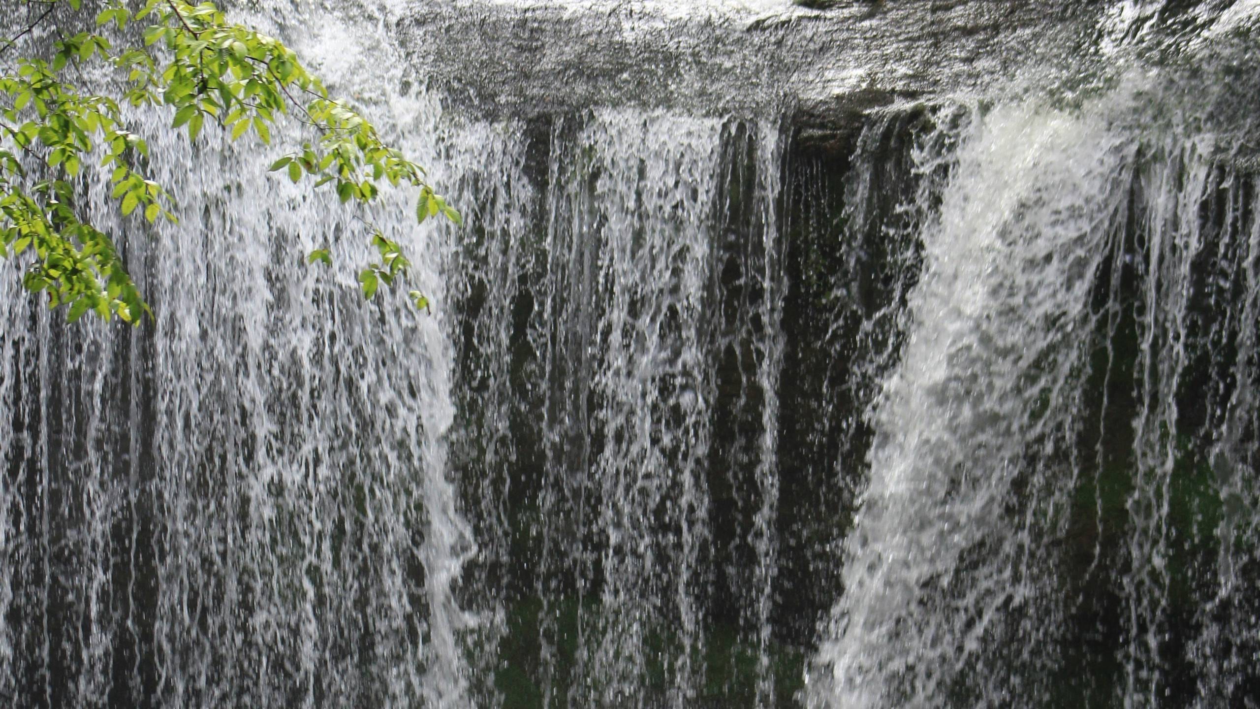 Alt Tag