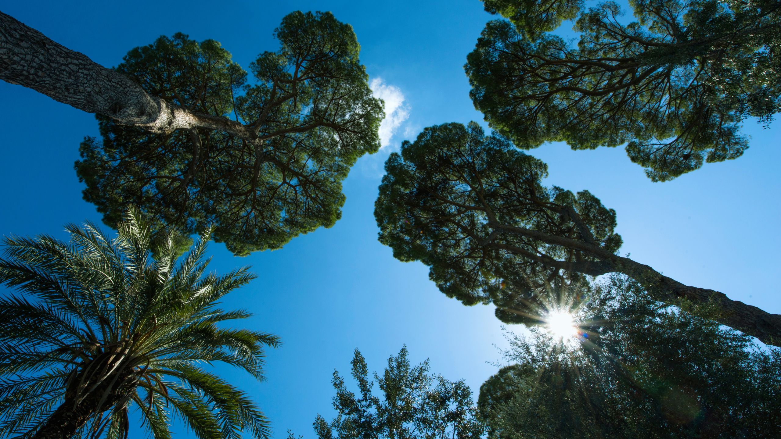 Blog-Quarta-Hospitality-in-Rome-Hotel-Oxford-Rome